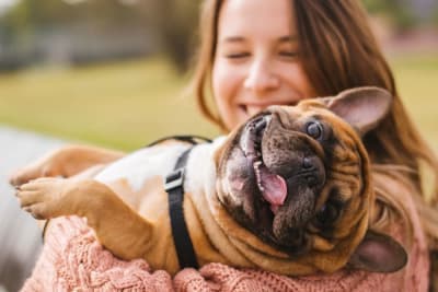 Nutrition, Skin & Dogs Nutrition, Skin & Dogs