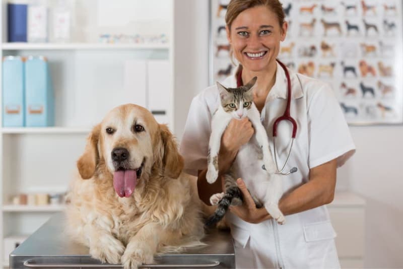 Routine Vet Exams: Why Are Regular Veterinary Checkups Important? Routine Vet Exams: Why Are Regular Veterinary Checkups Important?
