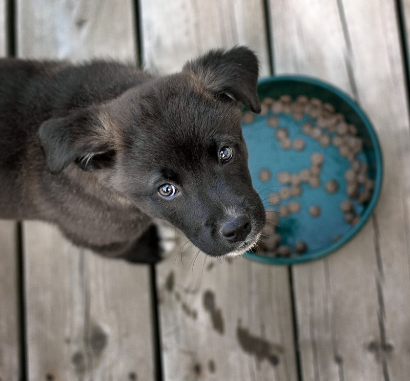 River Oak Veterinary Hospital Hero Image River Oak Veterinary Hospital Hero Image