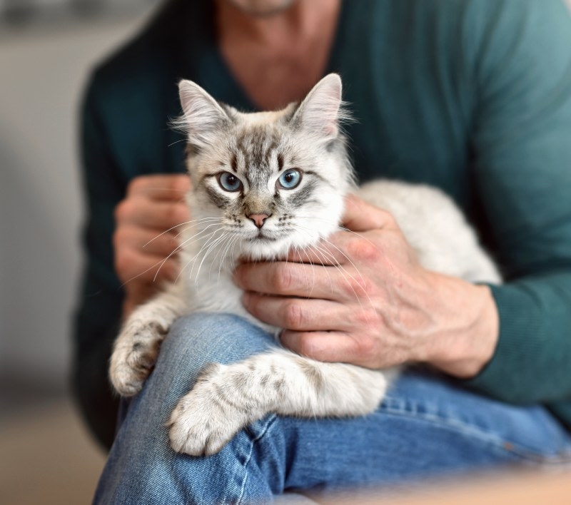 Welcome to Wachusett Animal Hospital and Pet Retreat! Hero Image Welcome to Wachusett Animal Hospital and Pet Retreat! Hero Image