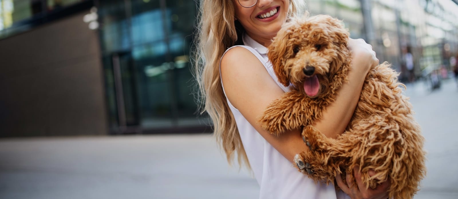 Welcome to New England Veterinary Center & Cancer Care in Windsor Hero Image Welcome to New England Veterinary Center & Cancer Care in Windsor Hero Image