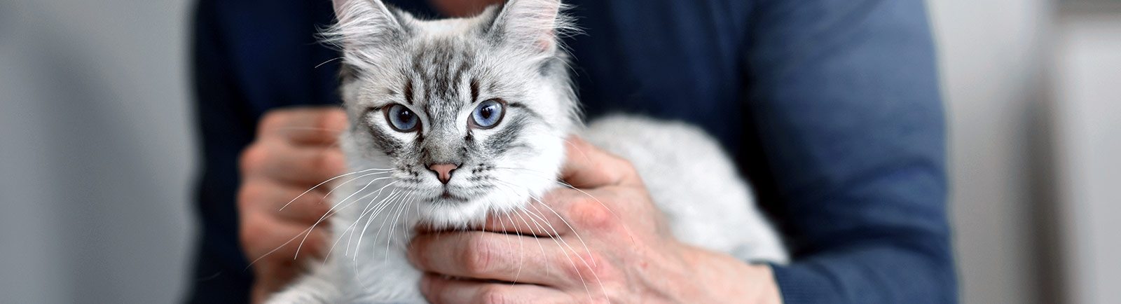 Banning Veterinary Hospital Banning Veterinary Hospital